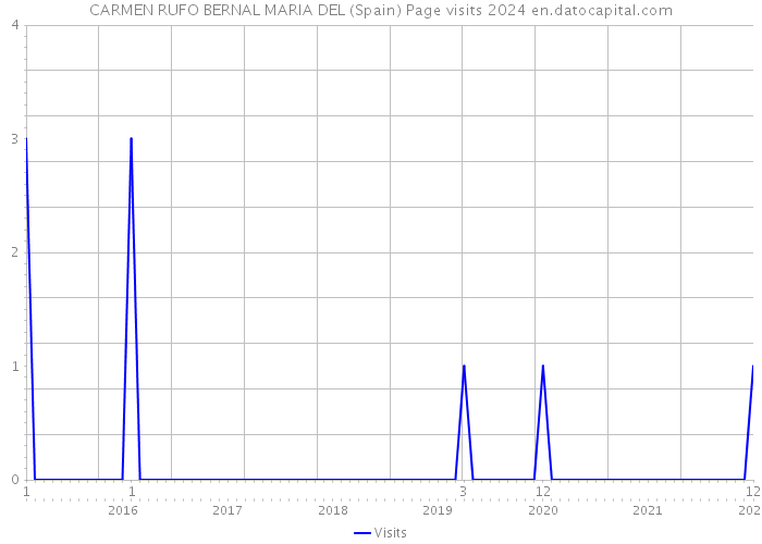 CARMEN RUFO BERNAL MARIA DEL (Spain) Page visits 2024 