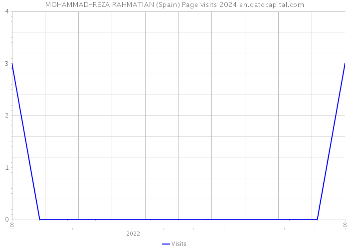 MOHAMMAD-REZA RAHMATIAN (Spain) Page visits 2024 