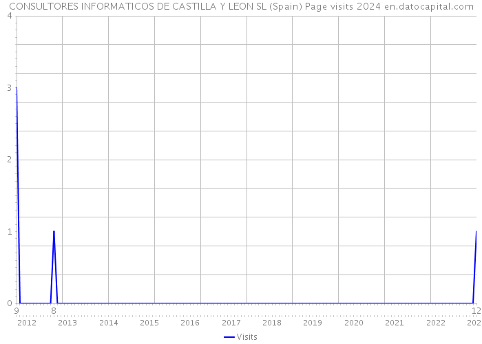 CONSULTORES INFORMATICOS DE CASTILLA Y LEON SL (Spain) Page visits 2024 