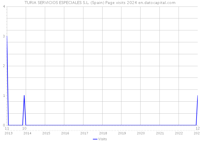 TURIA SERVICIOS ESPECIALES S.L. (Spain) Page visits 2024 