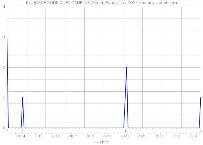 RUI JORGE RODRIGUES ORNELAS (Spain) Page visits 2024 