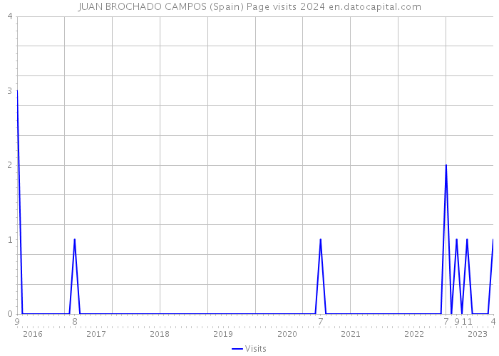JUAN BROCHADO CAMPOS (Spain) Page visits 2024 
