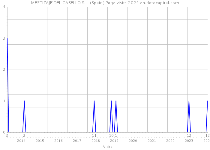 MESTIZAJE DEL CABELLO S.L. (Spain) Page visits 2024 