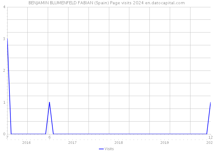 BENJAMIN BLUMENFELD FABIAN (Spain) Page visits 2024 