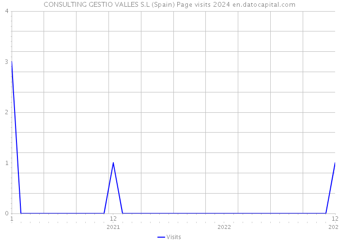 CONSULTING GESTIO VALLES S.L (Spain) Page visits 2024 