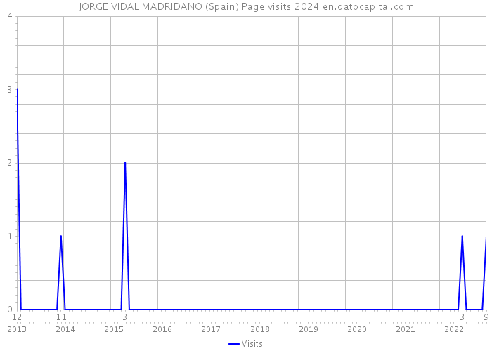 JORGE VIDAL MADRIDANO (Spain) Page visits 2024 