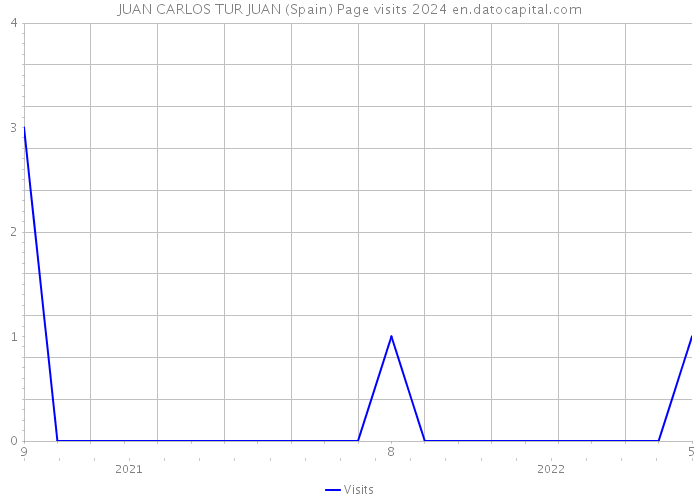 JUAN CARLOS TUR JUAN (Spain) Page visits 2024 