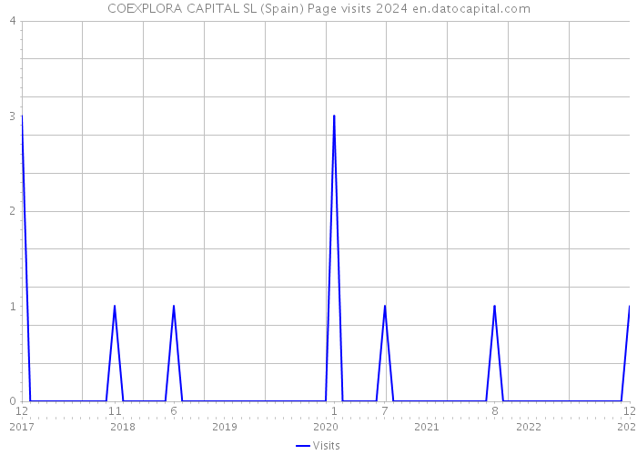 COEXPLORA CAPITAL SL (Spain) Page visits 2024 