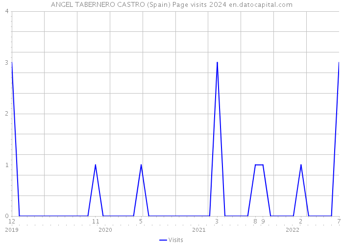 ANGEL TABERNERO CASTRO (Spain) Page visits 2024 