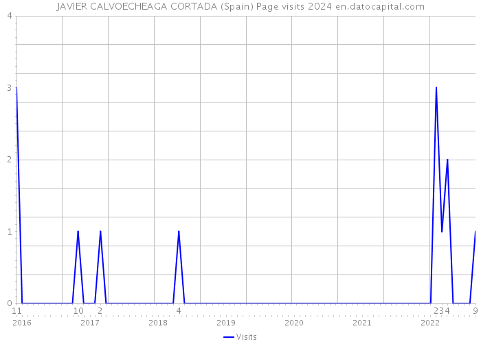 JAVIER CALVOECHEAGA CORTADA (Spain) Page visits 2024 