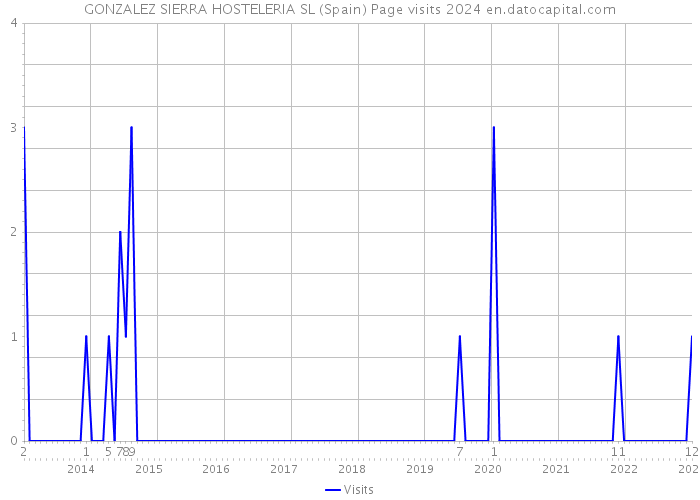 GONZALEZ SIERRA HOSTELERIA SL (Spain) Page visits 2024 