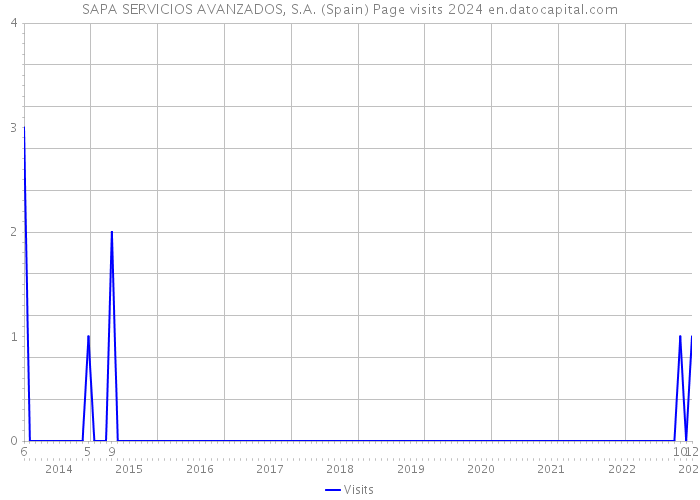 SAPA SERVICIOS AVANZADOS, S.A. (Spain) Page visits 2024 