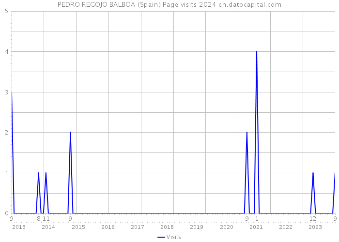 PEDRO REGOJO BALBOA (Spain) Page visits 2024 
