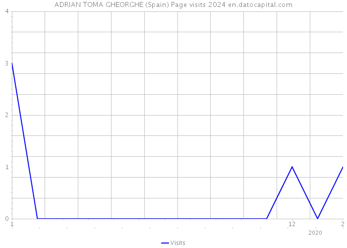 ADRIAN TOMA GHEORGHE (Spain) Page visits 2024 