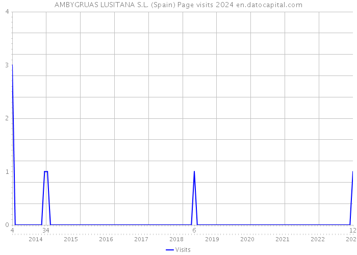 AMBYGRUAS LUSITANA S.L. (Spain) Page visits 2024 