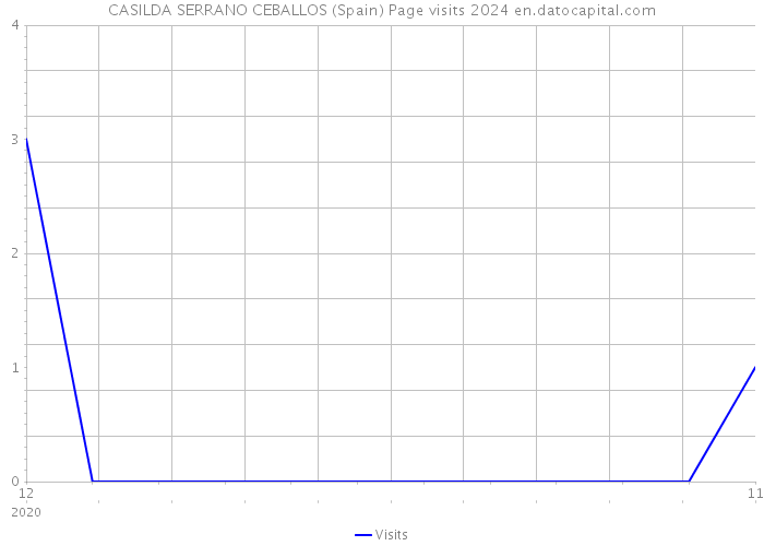CASILDA SERRANO CEBALLOS (Spain) Page visits 2024 