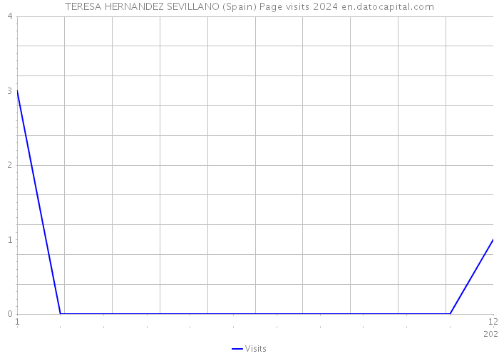 TERESA HERNANDEZ SEVILLANO (Spain) Page visits 2024 