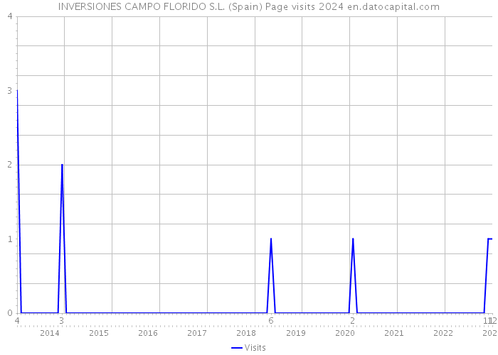 INVERSIONES CAMPO FLORIDO S.L. (Spain) Page visits 2024 