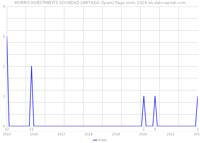 MORRIS INVESTMENTS SOCIEDAD LIMITADA (Spain) Page visits 2024 