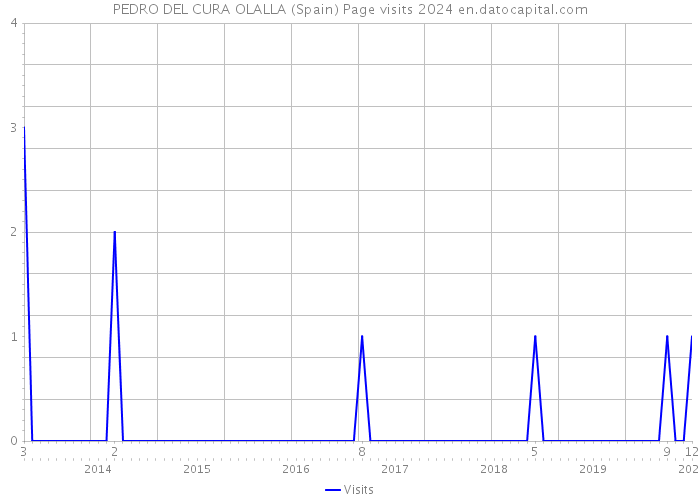 PEDRO DEL CURA OLALLA (Spain) Page visits 2024 