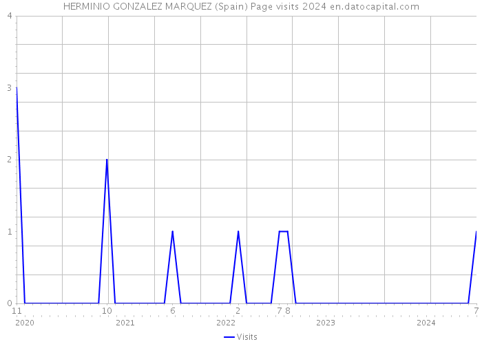 HERMINIO GONZALEZ MARQUEZ (Spain) Page visits 2024 