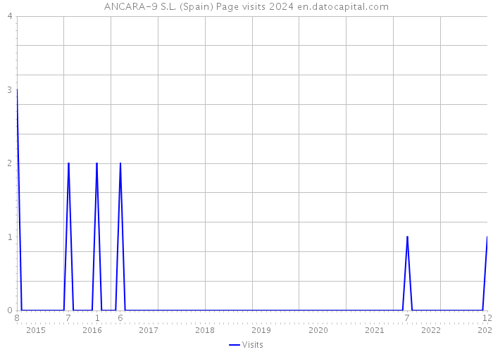 ANCARA-9 S.L. (Spain) Page visits 2024 