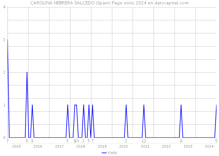 CAROLINA NEBRERA SALCEDO (Spain) Page visits 2024 