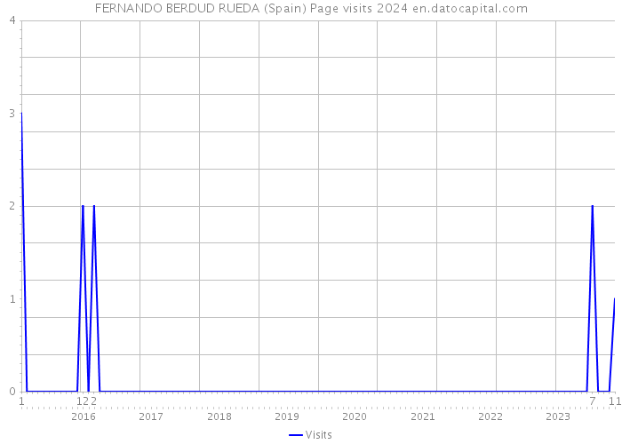 FERNANDO BERDUD RUEDA (Spain) Page visits 2024 