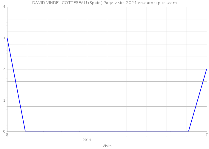 DAVID VINDEL COTTEREAU (Spain) Page visits 2024 