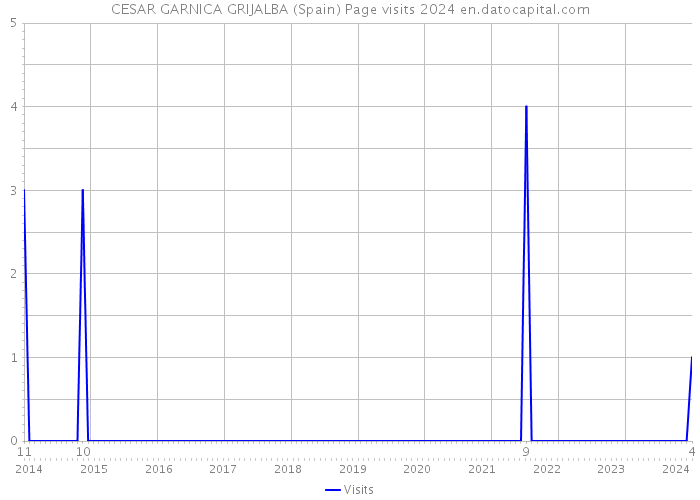 CESAR GARNICA GRIJALBA (Spain) Page visits 2024 