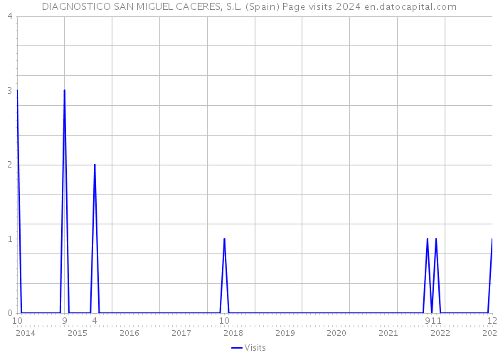 DIAGNOSTICO SAN MIGUEL CACERES, S.L. (Spain) Page visits 2024 