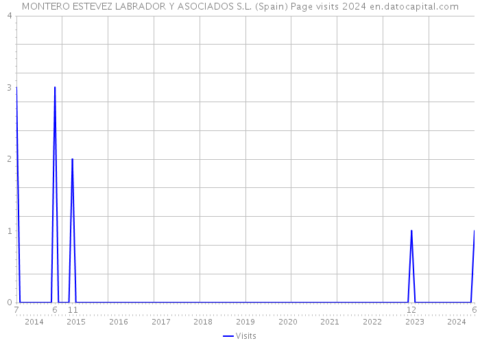 MONTERO ESTEVEZ LABRADOR Y ASOCIADOS S.L. (Spain) Page visits 2024 