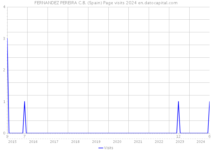 FERNANDEZ PEREIRA C.B. (Spain) Page visits 2024 