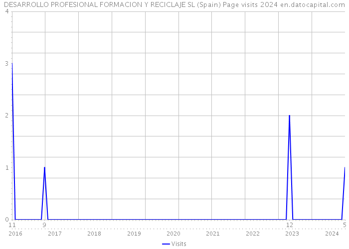 DESARROLLO PROFESIONAL FORMACION Y RECICLAJE SL (Spain) Page visits 2024 