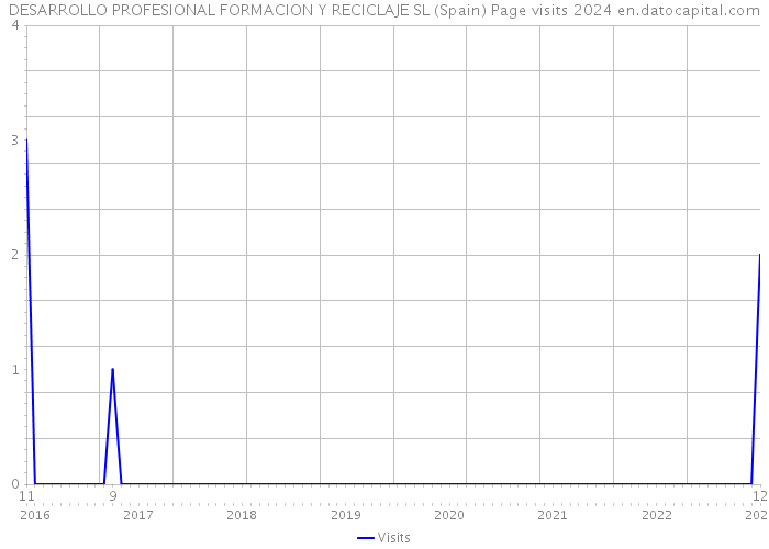 DESARROLLO PROFESIONAL FORMACION Y RECICLAJE SL (Spain) Page visits 2024 