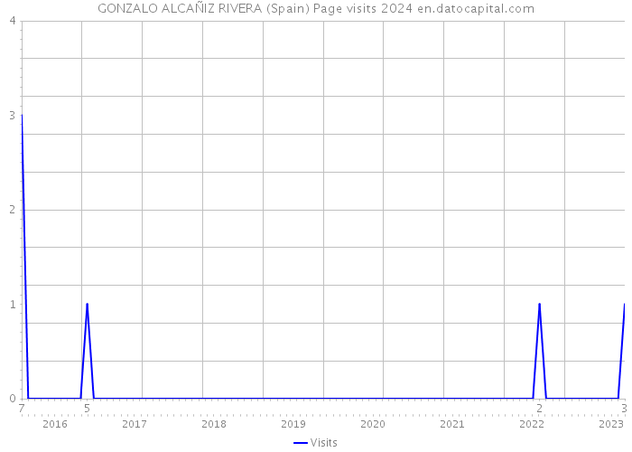 GONZALO ALCAÑIZ RIVERA (Spain) Page visits 2024 