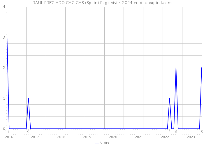 RAUL PRECIADO CAGIGAS (Spain) Page visits 2024 