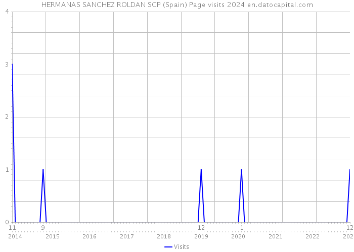HERMANAS SANCHEZ ROLDAN SCP (Spain) Page visits 2024 