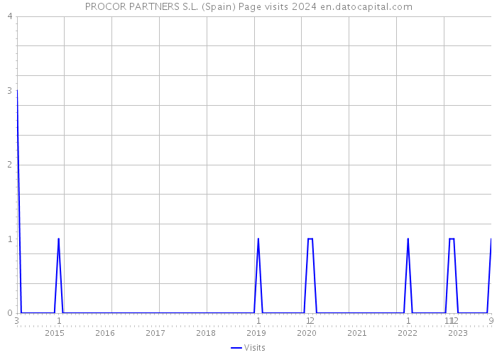 PROCOR PARTNERS S.L. (Spain) Page visits 2024 