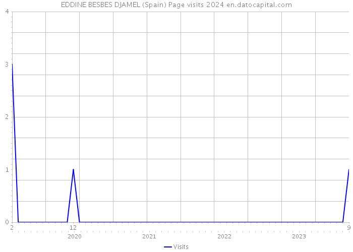 EDDINE BESBES DJAMEL (Spain) Page visits 2024 