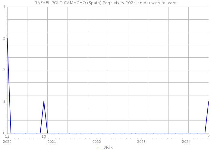 RAFAEL POLO CAMACHO (Spain) Page visits 2024 