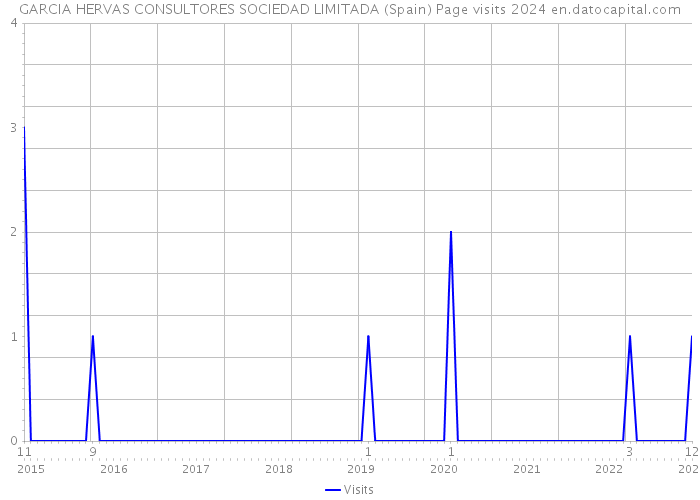 GARCIA HERVAS CONSULTORES SOCIEDAD LIMITADA (Spain) Page visits 2024 