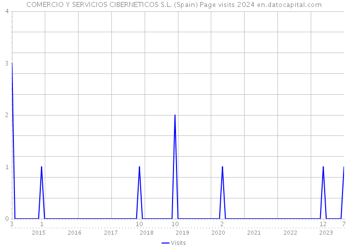 COMERCIO Y SERVICIOS CIBERNETICOS S.L. (Spain) Page visits 2024 