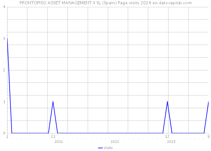 PRONTOPISO ASSET MANAGEMENT II SL (Spain) Page visits 2024 