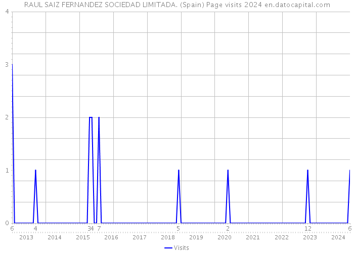 RAUL SAIZ FERNANDEZ SOCIEDAD LIMITADA. (Spain) Page visits 2024 