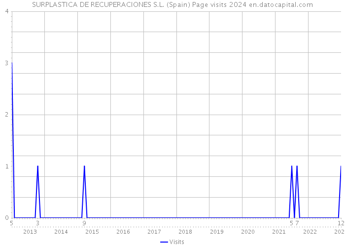 SURPLASTICA DE RECUPERACIONES S.L. (Spain) Page visits 2024 