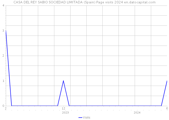 CASA DEL REY SABIO SOCIEDAD LIMITADA (Spain) Page visits 2024 