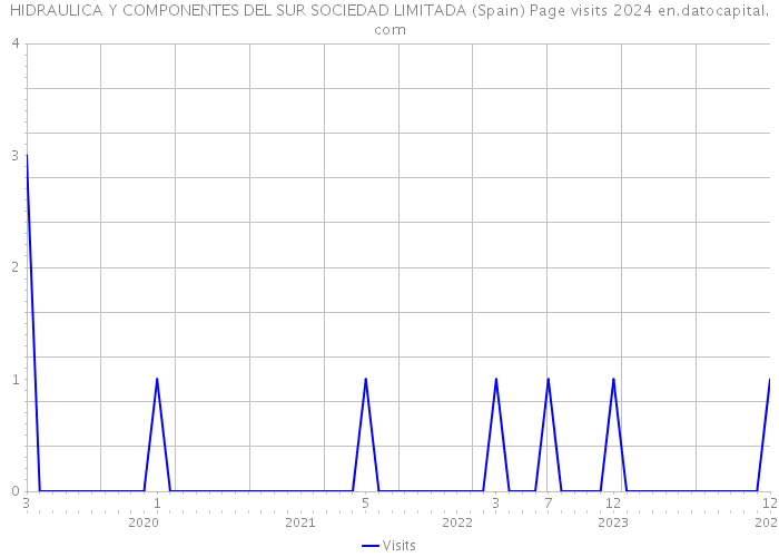 HIDRAULICA Y COMPONENTES DEL SUR SOCIEDAD LIMITADA (Spain) Page visits 2024 