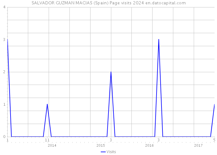 SALVADOR GUZMAN MACIAS (Spain) Page visits 2024 