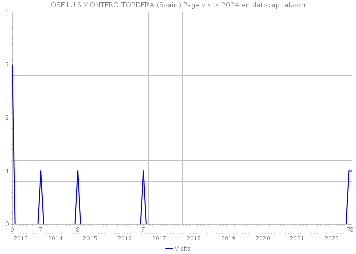 JOSE LUIS MONTERO TORDERA (Spain) Page visits 2024 